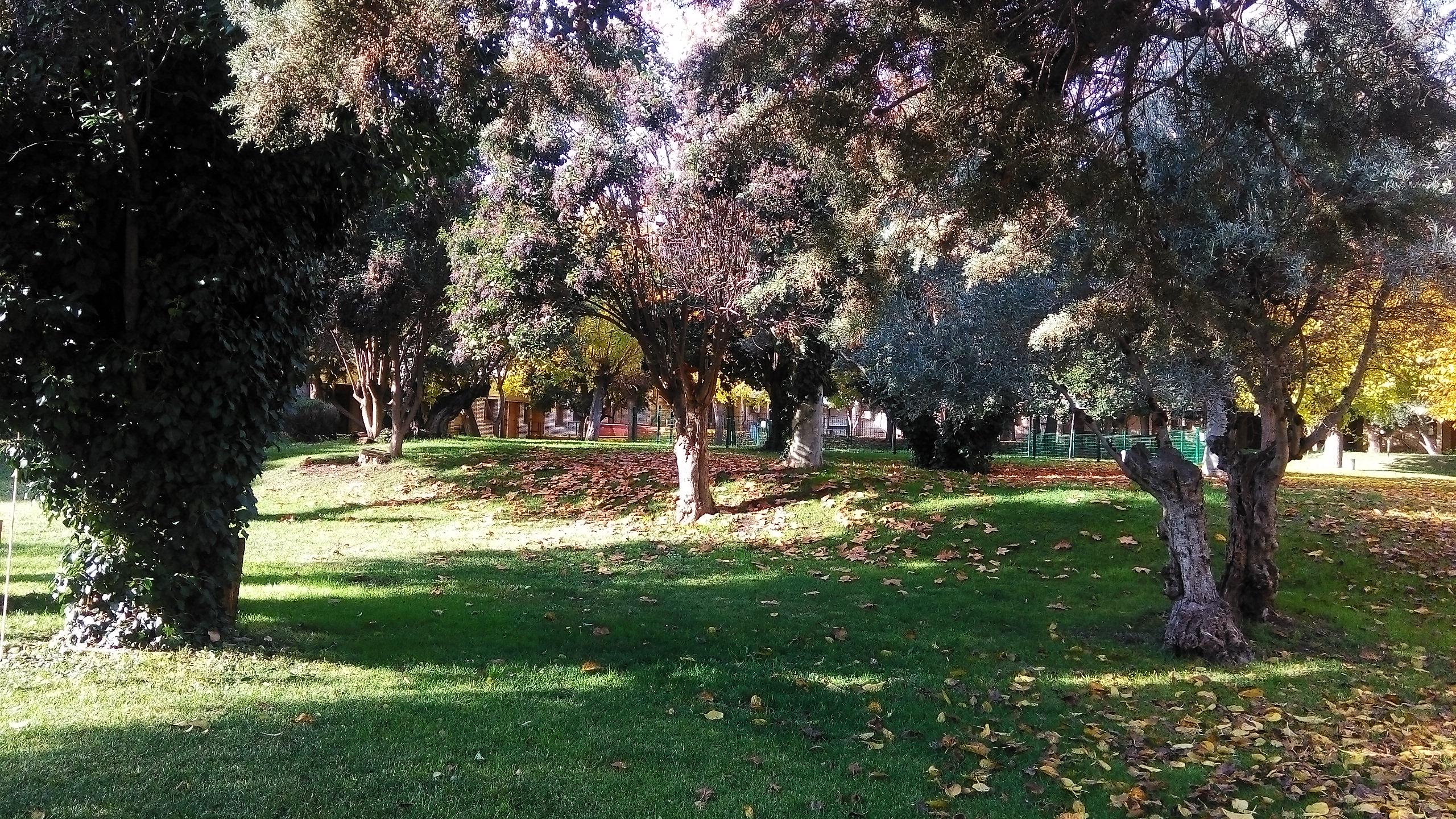 Hotel Los Olivos Хетафе Екстериор снимка